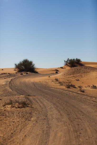 istock A road running through a desert 1075614240