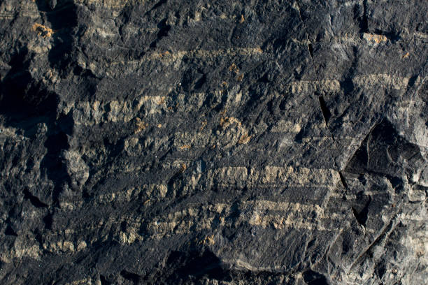 istock Rock or Stone  as  natural background texture 1075617910