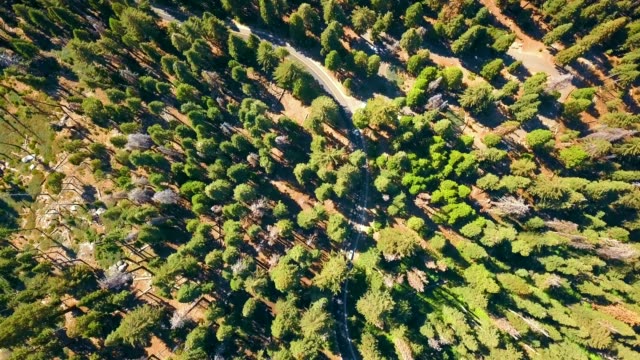 Aerial view of the Sequoia National park
