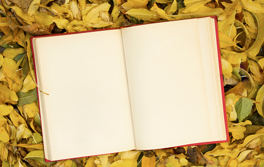 Open notebook on autumn leaves. Top view.