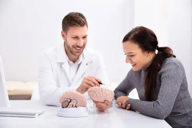 Photo of Doctor Explaining Details Of Human Brain To Woman