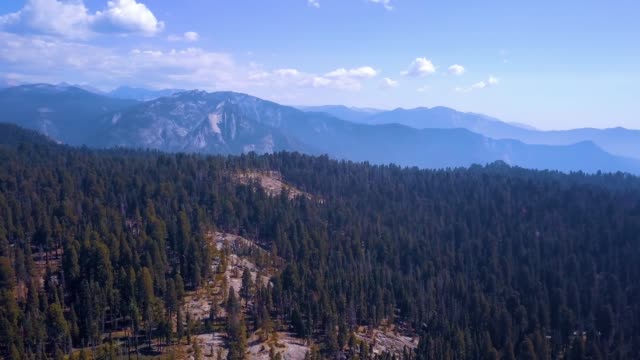 Aerial view of the Sequoia National park