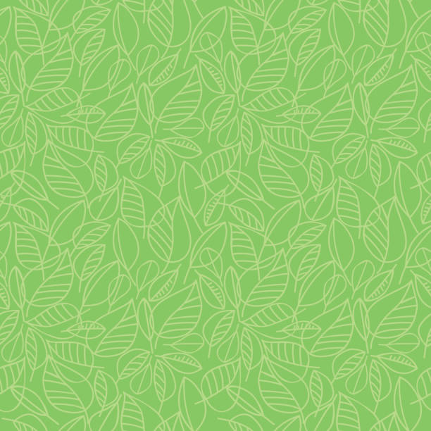 녹색 나뭇잎 원활한 패턴 - backgrounds green leaf abstract stock illustrations