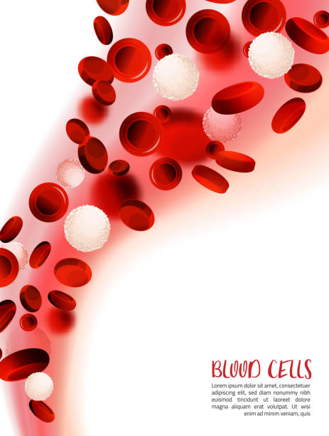 illustrazioni stock, clip art, cartoni animati e icone di tendenza di sfondo cellule del sangue - healthcare and medicine human cardiovascular system anatomy human blood vessel