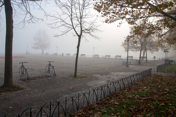 mgła mglisty wheather w mieście ioannina sezon jesienny grecja - street light fog morning country road zdjęcia i obrazy z banku zdjęć