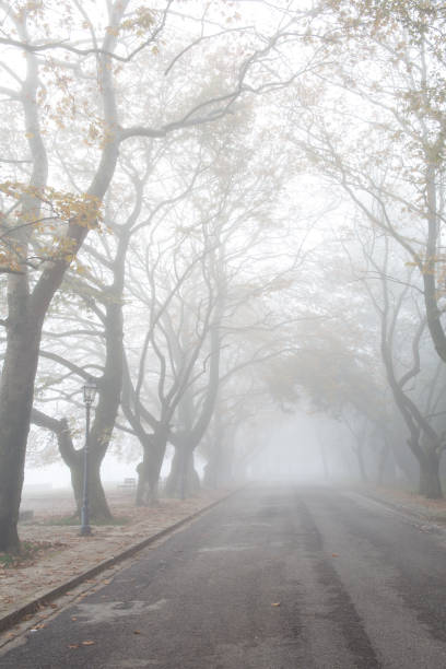 nevoeiro nevoeiro wheather no outono da cidade de ioannina temporada grécia - street light fog morning country road - fotografias e filmes do acervo