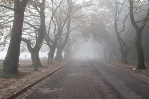 nevoeiro nevoeiro wheather no outono da cidade de ioannina temporada grécia - street light fog morning country road - fotografias e filmes do acervo