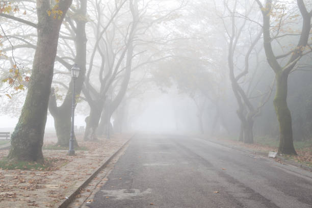 mgła mglisty wheather w mieście ioannina sezon jesienny grecja - street light fog morning country road zdjęcia i obrazy z banku zdjęć