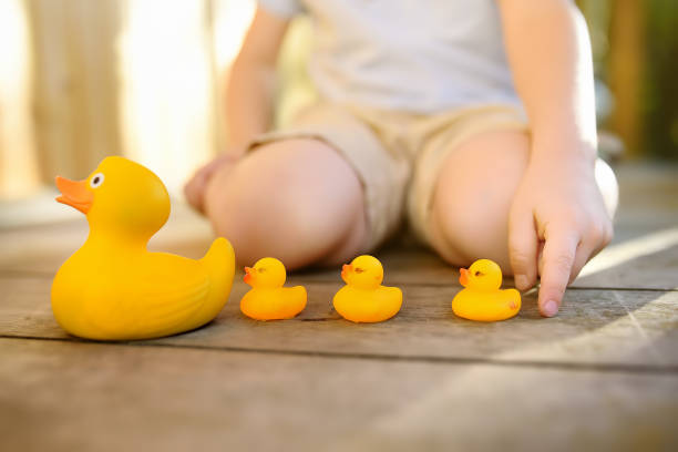 Preschooler child learns to count with toy ducklings Little boy playing with family of rubber duck. Preschooler child learns to count with toy ducklings duck family stock pictures, royalty-free photos & images