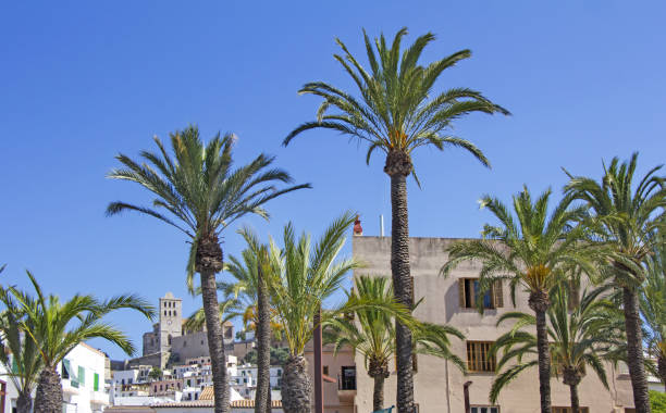 istock Ibiza old town, called Dalt Vila. 1075652098