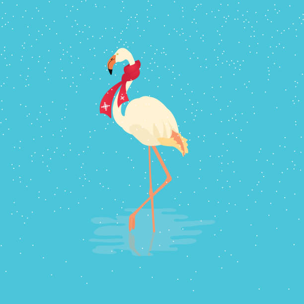 illustrations, cliparts, dessins animés et icônes de illustration de l’oiseau flamant - animal beak bird wading