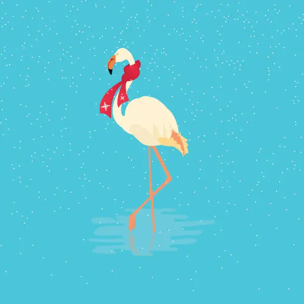 Vector illustration of Flamingo bird illustration