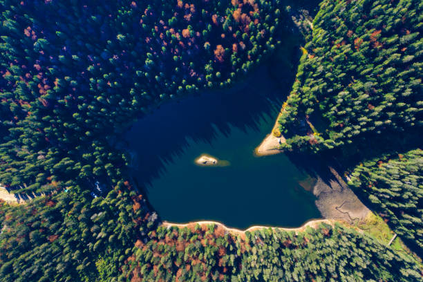 istock Synevir lake autumn colors 1075664134
