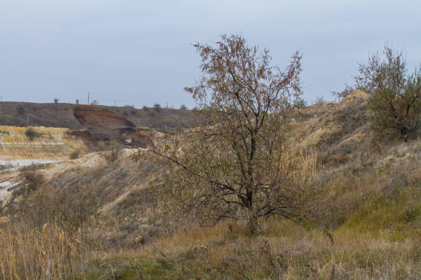 istock the last days in the Tavrian steppe 1075670574