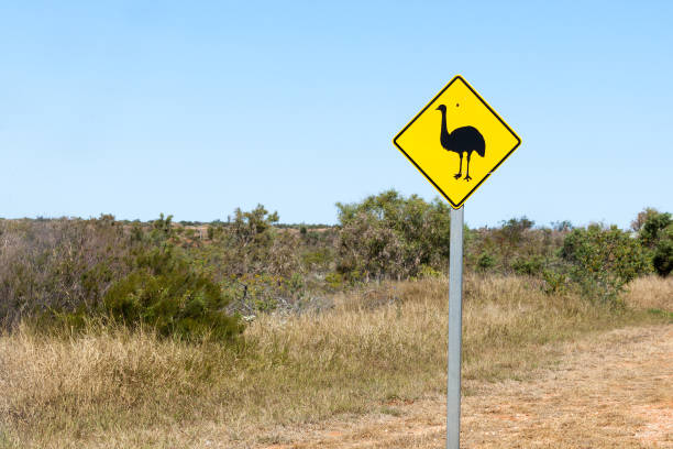 istock emu sign coral coast 1075674958