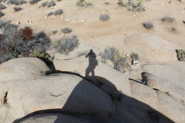 istock SHADOW JUMPING - JOSHUA TREE NATIONAL PARK - SKULL ROCK - 102918 B 1075677718