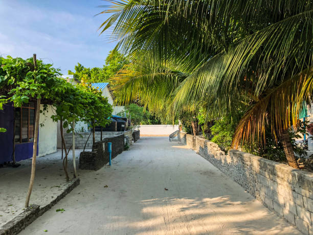 istock Empty street in traditional Maldivian village 1075706256