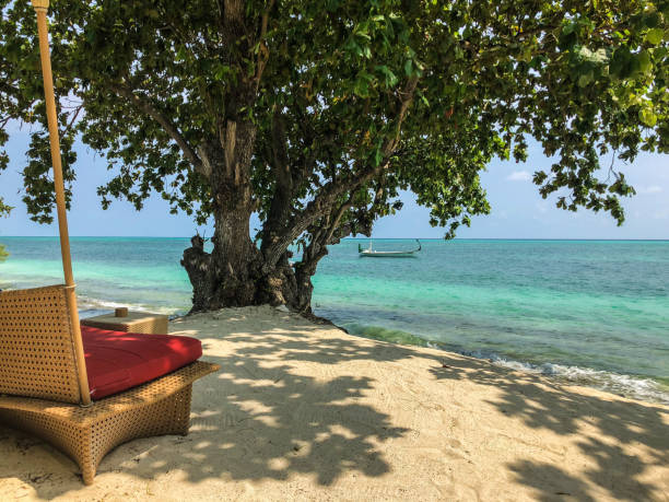 istock Tree on the beach with boats in the sea 1075706264