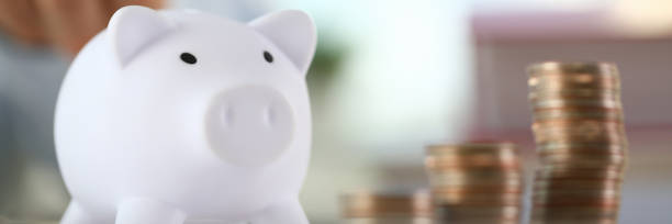 istock Hand businessman putting pin money 1075734382