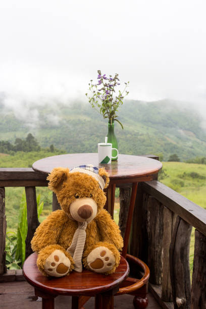 istock misty landscape with lonely teddy bear 1075746022