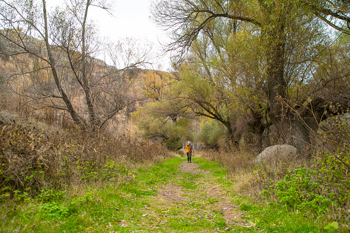 Traveler Looks at Landscape.