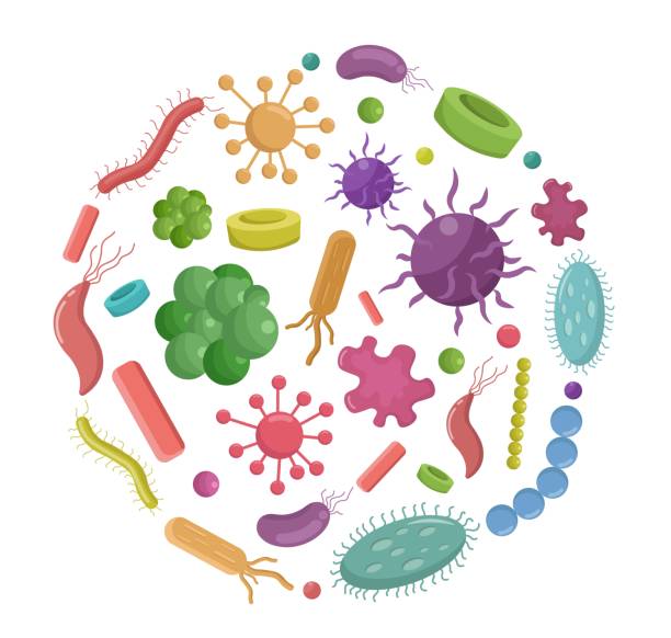 istock Big set bacteria and pandemic virus biology vector illustration cartoon 1075769716