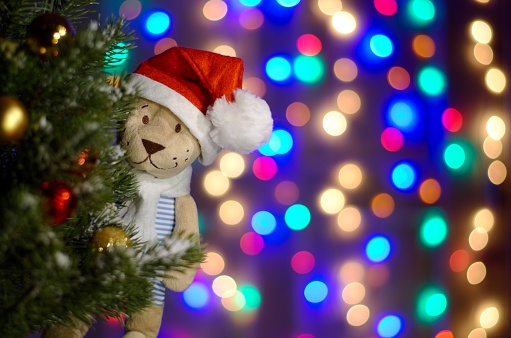 Teddy bear wearing hat and scarf standing beside Christmas tree with snow and colorful bokeh lights as background for Christmas Holiday.