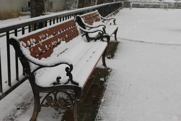 istock snow-covered wooden benches in the park 1075780992