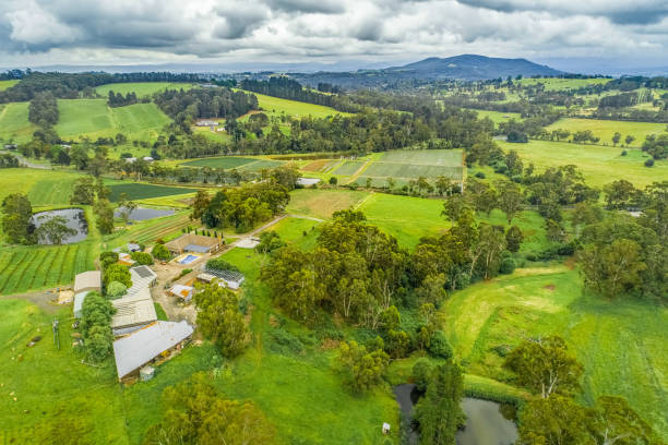 istock Australian countryside on overcast day - aerial view 1075793844