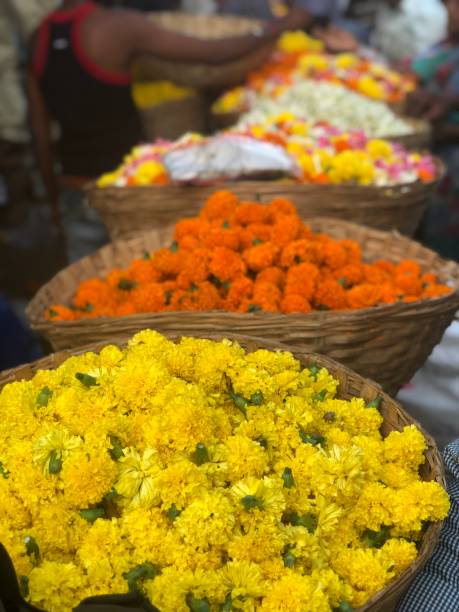 istock Indian Flower Market 1075828764