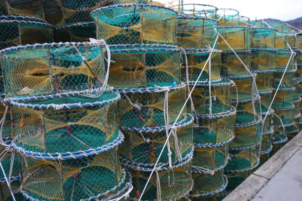 istock fishing nets in seaside village 1075834314