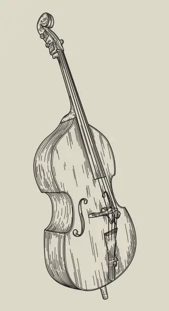 Vector illustration of Upright Bass