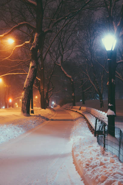 istock Central Park covered with snow by night 1075839000