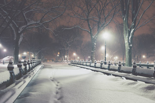 istock Central Park covered with snow by night 1075839010