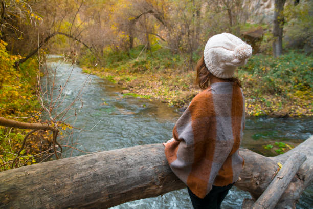 Traveler Looks at Landscape.