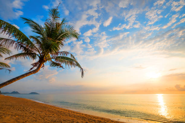 istock tropical beach in sunrise 1075839500