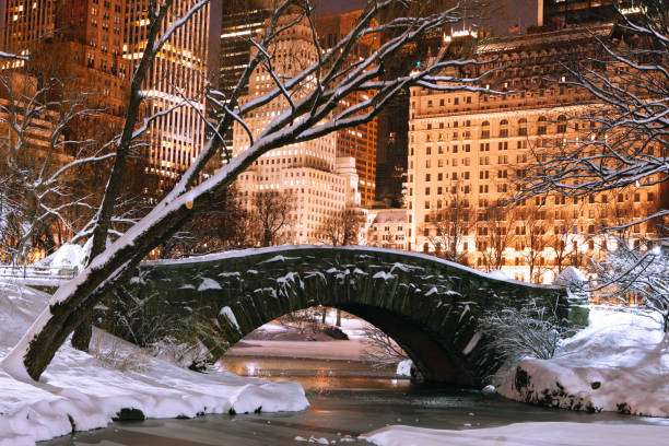 istock Gapstow bridge in Central Park in winter 1075845434