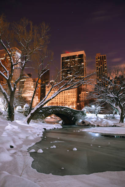 istock Gapstow bridge in Central Park in winter 1075845438