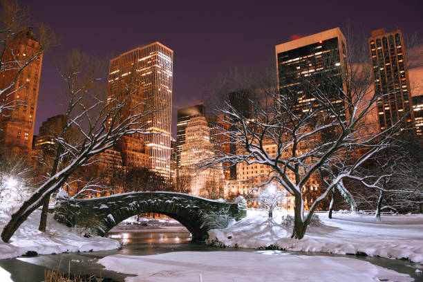 istock Gapstow bridge in Central Park in winter 1075845440