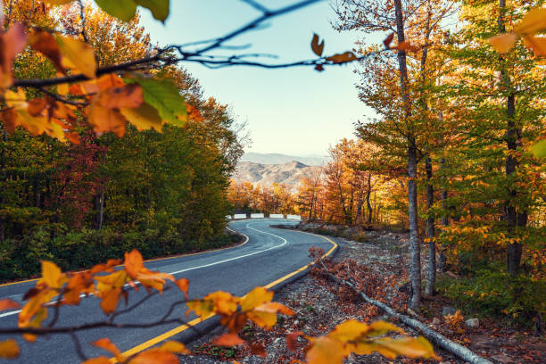 istock Winding road in the colorful autumn mountain forest 1075853326