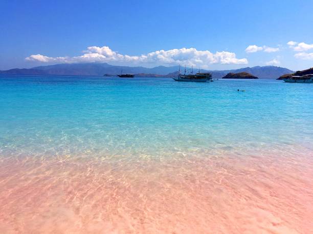 eine schöne rosa beach und blau klare wasser von komodo insel (komodo national park), labuan bajo, flores, indonesien - labuanbajo stock-fotos und bilder