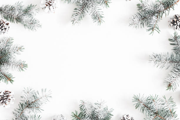 istock Christmas composition. Frame made of fir tree branches, pine cones on white background. Christmas, winter, new year concept. Flat lay, top view, copy space 1075884618