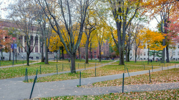 istock Harward yard in fall season with colorful trees 1075891100