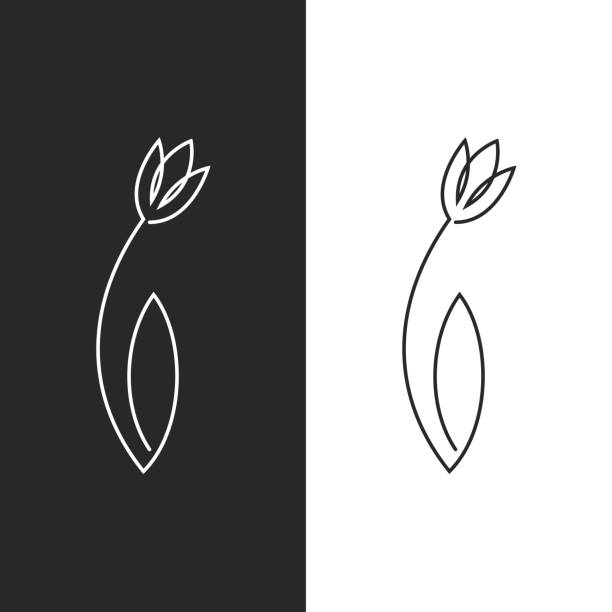 тюльпан логотип женский лист цветок эмблема для спа-салон, парикмахерская или салон красоты, простой линейный дизайн искусства в одной спл� - bud flower tulip flowers stock illustrations