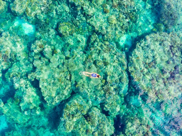 Aerial top down people snorkeling on coral reef tropical caribbean sea, turquoise blue water. Indonesia Indonesia Moluccas archipelago, Banda Islands, Pulau Hatta, tourist diving travel destination