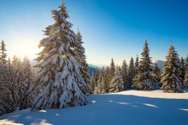 istock Magic sunrise in the winter mountains after snowfall 1075922614