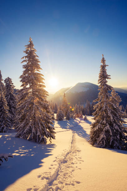 istock Magic sunrise in the winter mountains after snowfall 1075922636