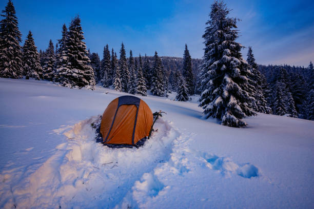 istock Yellow tent among the snow-covered pine trees 1075922666