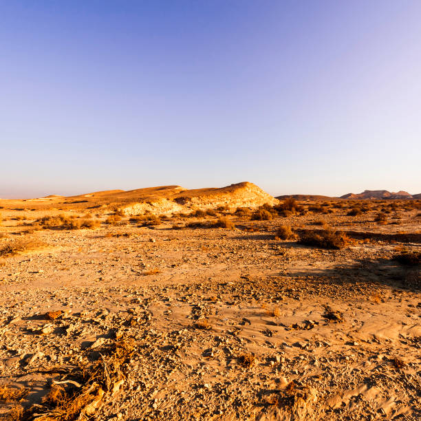 istock Whimsical Patterns of the Desert 1075923156