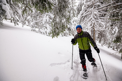 Traveler goes snowshoeing among huge pine trees covered with snow, during snowfall. Epic winter adventure in the mountains. Wide angle.